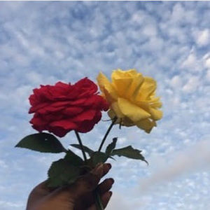 Meet your Posher, Gabriela